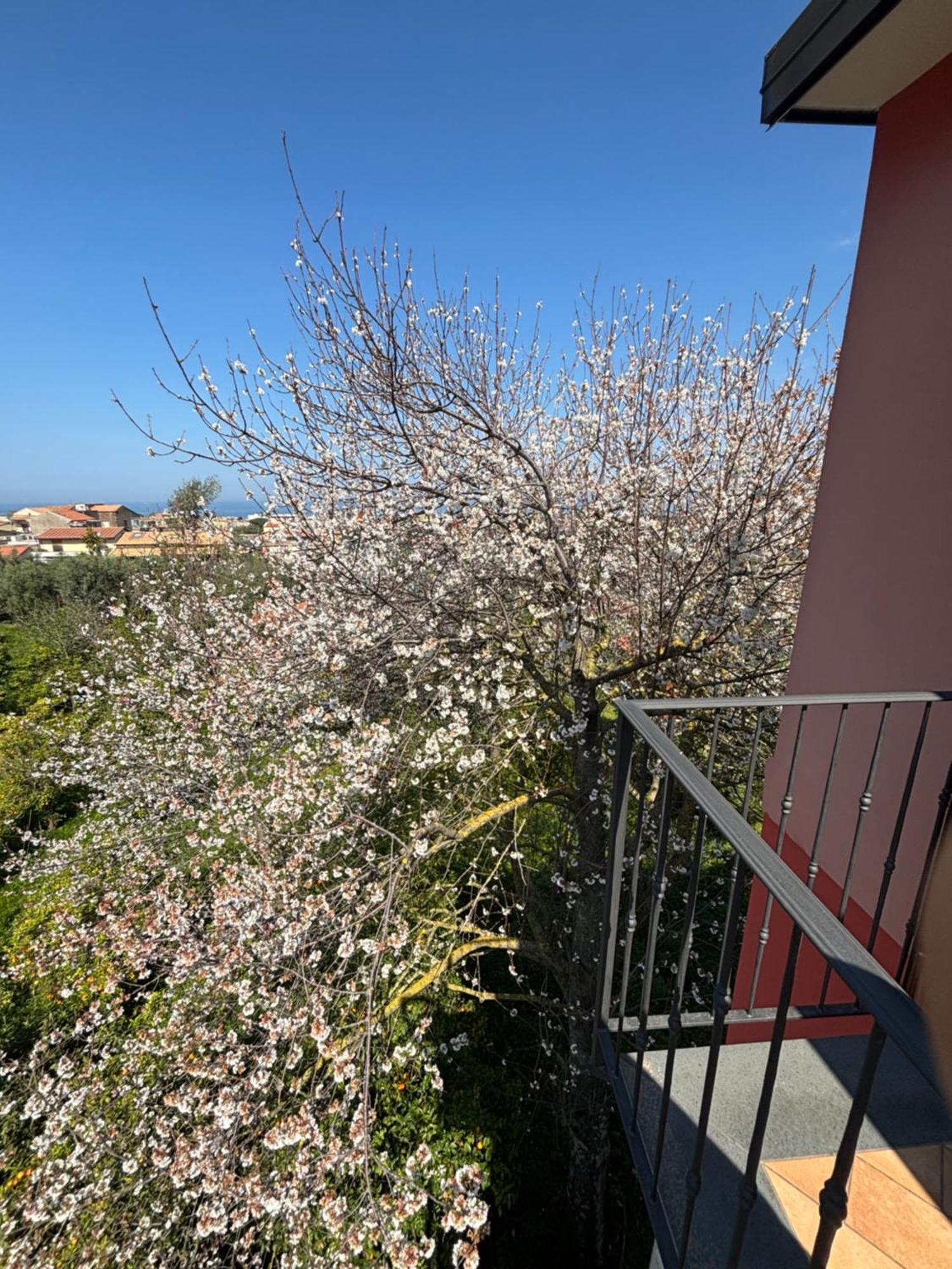 Intero Appartamento A Sant'Agnello , Le Ortensie Екстер'єр фото